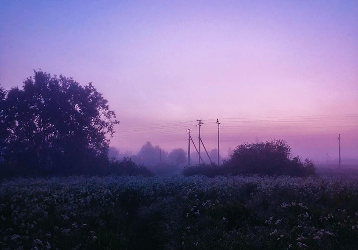 BB Sports-苏翊鸣，闭幕式旗手！